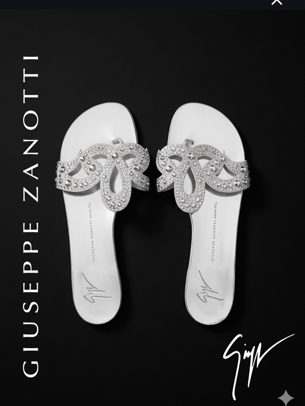 Guisseppe Zanotti